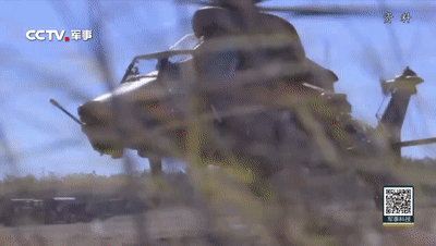 虎年里，盘点那些和“虎”有关的武器装备