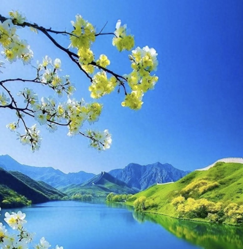 kiayun手机版登录入口 总有一场秋雨，惹了相思，总有一场遇见，温柔了岁月