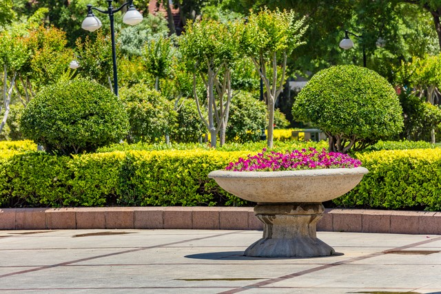 张爱玲出名心酸_蔡格尼克效应未完成_蔡格尼克效应生活应用