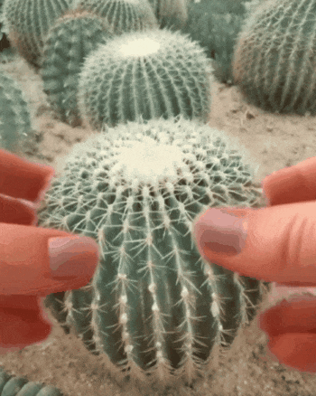 暴打玩偶中文版下载_捏捏玩具 手工捏捏 硅胶捏捏