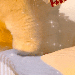 捏捏玩具 手工捏捏 硅胶捏捏_暴打玩偶中文版下载