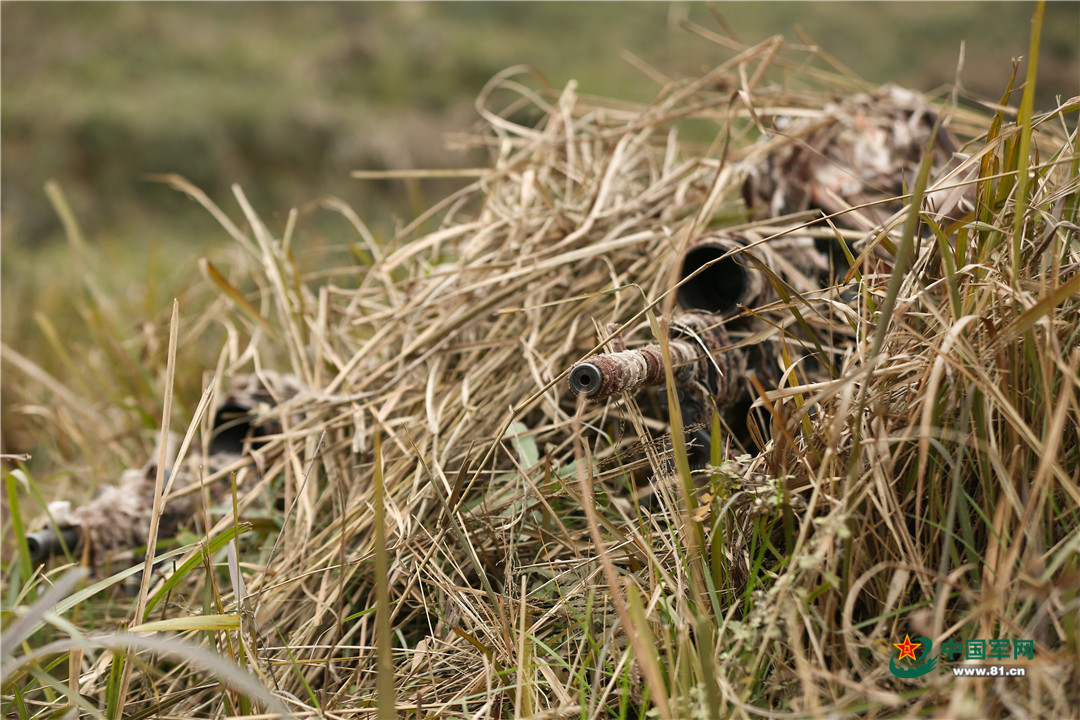 狙击手胜利的艺术中文版下载_狙击手训练_特种兵狙击手