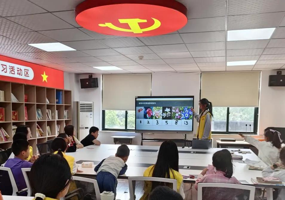 趣味数学知识与传统习俗体验_斐波那契数列自然密码探索_斐波那契数列生活应用