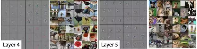 卷积网络过滤器设计_卷积在生活应用_卷积层工作原理