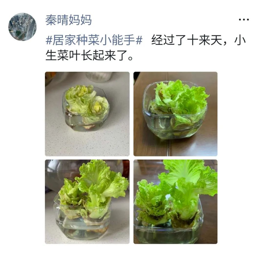 生活中数学应用小报_社区防疫路线设计_小学数学疫情作业