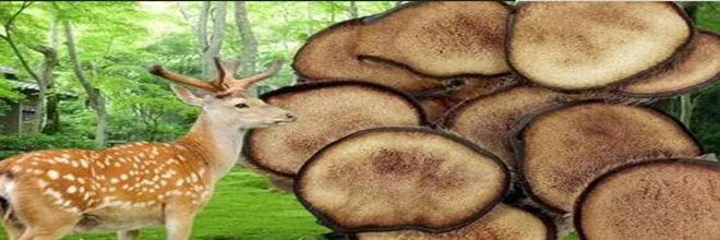 牛顿定律应用场景大揭秘，这3个你肯定想不到！