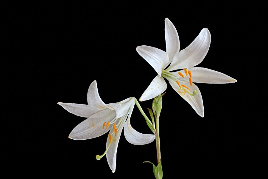 「心理学小白9」感觉和知觉，分得清楚吗？