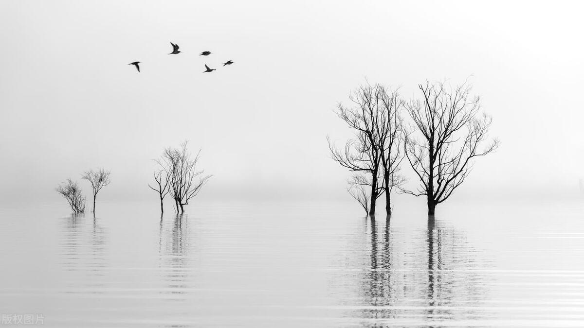 未完成感心理学_蔡格尼克效应_蔡格尼克效应生活应用