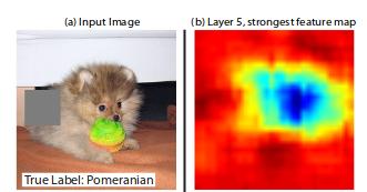 深度学习模型可视化_卷积在生活应用_CNN模型可视化方法