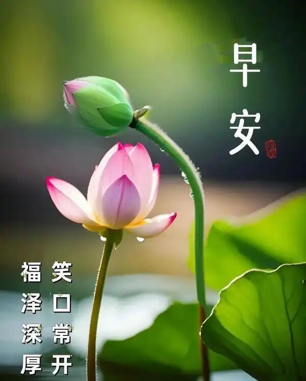 人生旅途悟道_良善平安喜乐_kaixinwnag