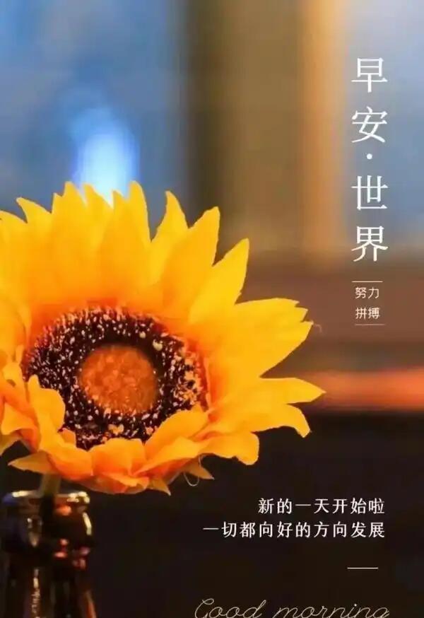 良善平安喜乐_人生旅途悟道_kaixinwnag