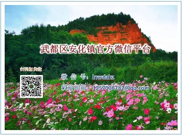 逾期贷款农户信用修复_农户贷款逾期后果_致合作社成员的一封信