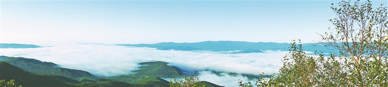 汤原县红色文化旅游_汤原县太平川图片_汤原县人才引进政策