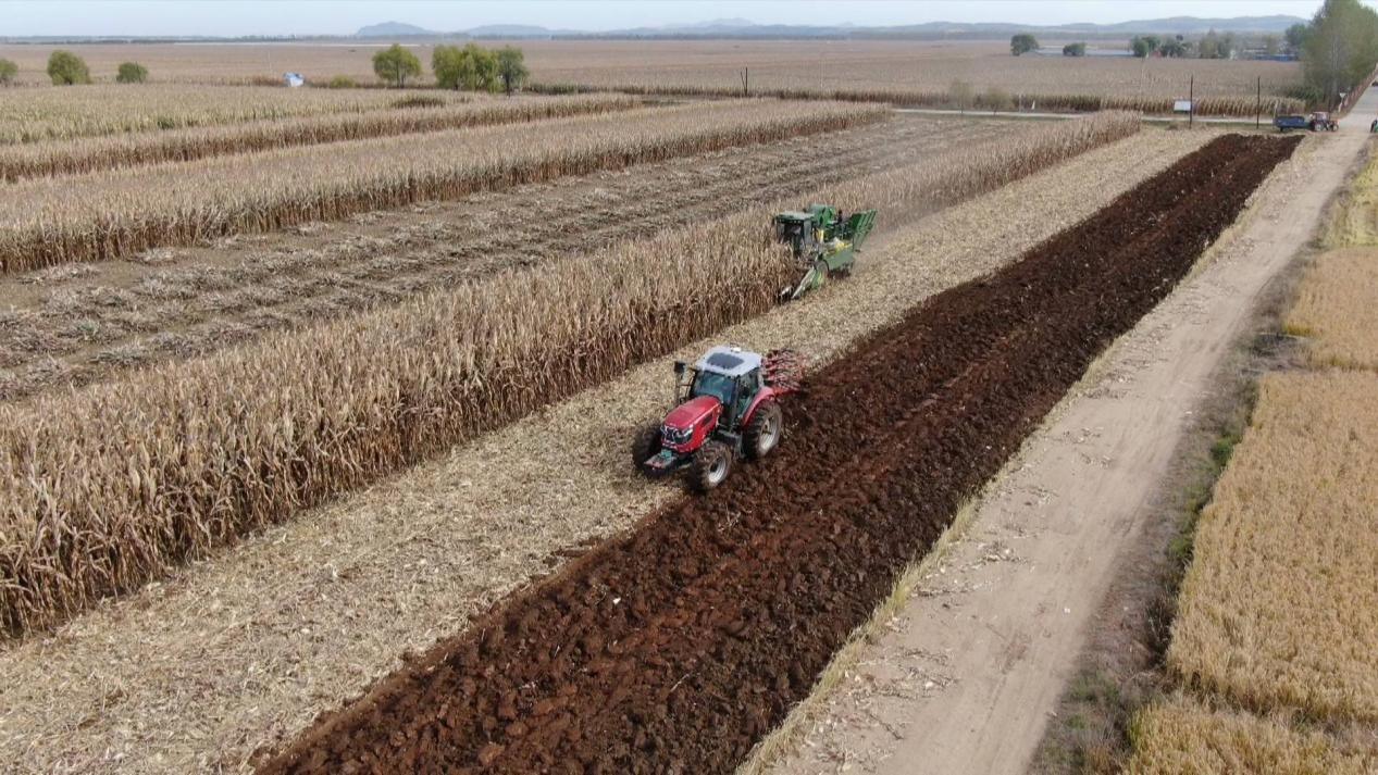 汤原县太平川图片_金秋稻米香收割季_汤原县粮食丰收
