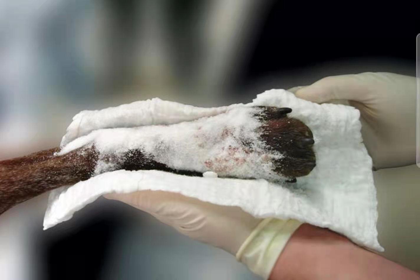 生活应用方面的知识_军事生存技巧_生活小技巧