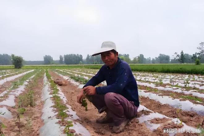 战友聚会捐款争议_退伍兵战友聚会变迁_一五七医院战友通讯录