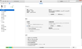 iPad无法进入恢复模式怎么办