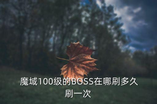 魔域boss刷新时间