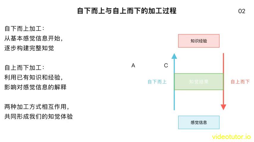 知觉的基本特征 生活应用_直觉自下而上加工_感觉与知觉加工