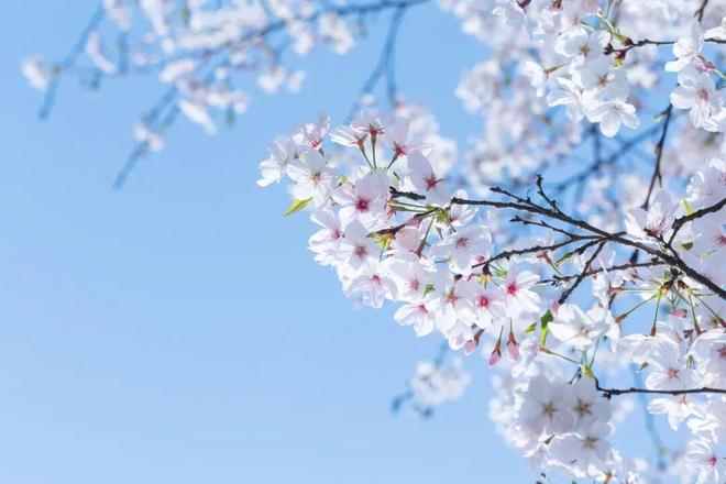 数学应用生活_教授理性反思方法_培养主动探究习惯