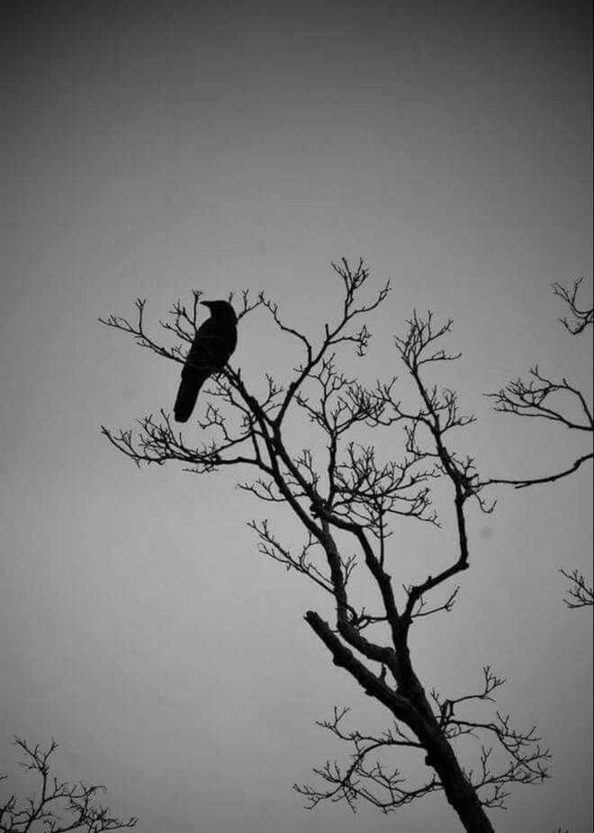 成功法则_年轻失败经验_生活逆向思维应用故事