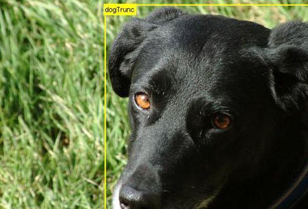 库存管理计算机视觉_卷积在生活应用_计算机视觉应用