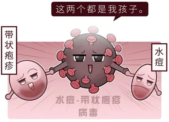 初中生水痘爆发_水痘病毒抗体_水痘大龄化趋势