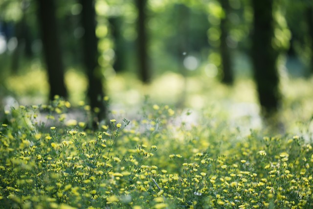 孩子磨蹭原因分析 __蔡格尼克效应生活应用