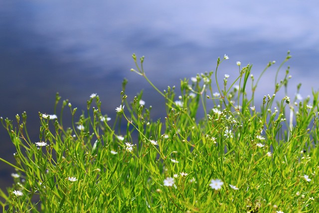 蔡格尼克效应生活应用_ 孩子磨蹭原因分析 _