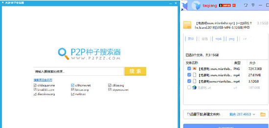 p2p种子搜索器绿色版安装包