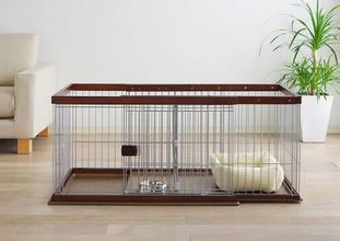 kiayun手机版登录打开即玩v1011.速装上线体验.中国 在生活中如何养一只宠物