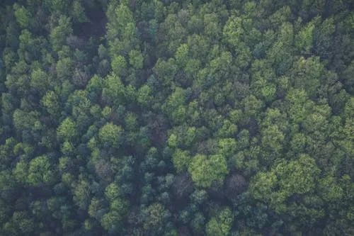 生活逆向思维应用故事_逆向思维解决问题_生活逆境转化美事