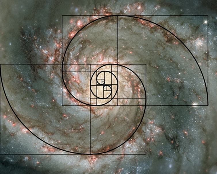 斐波那契数列与黄金分割_斐波那契数列在自然界中的应用_斐波那契数列生活应用