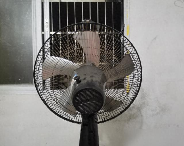 立夏后风扇越吹越热？伯努利原理揭秘：这样摆才是正确打开方式