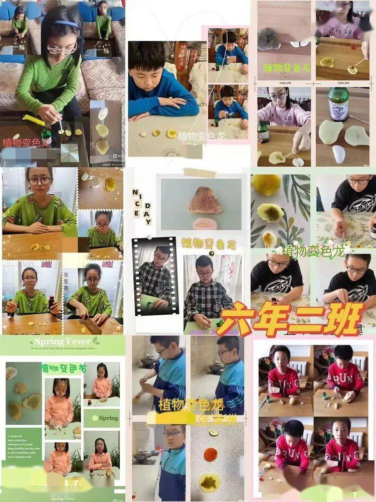 【科创课程】用科学照亮孩子的未来——六年级科学小实验期末盘点