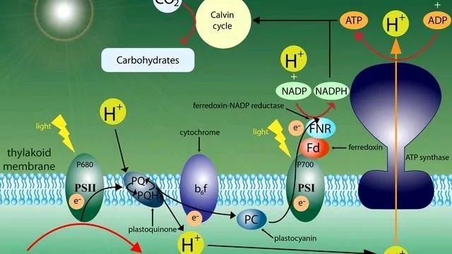 流体力学基础理论_伯努利原理生活应用_伯努利原理应用