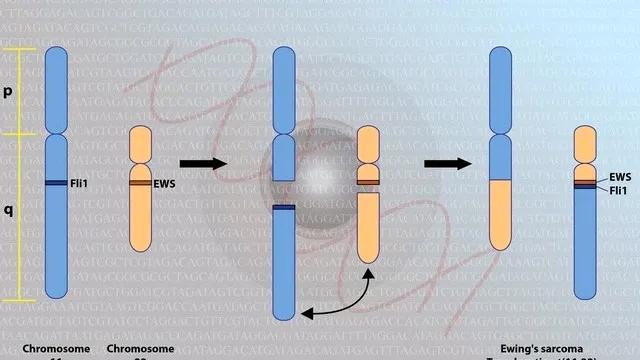 流体力学基础理论_伯努利原理生活应用_伯努利原理应用