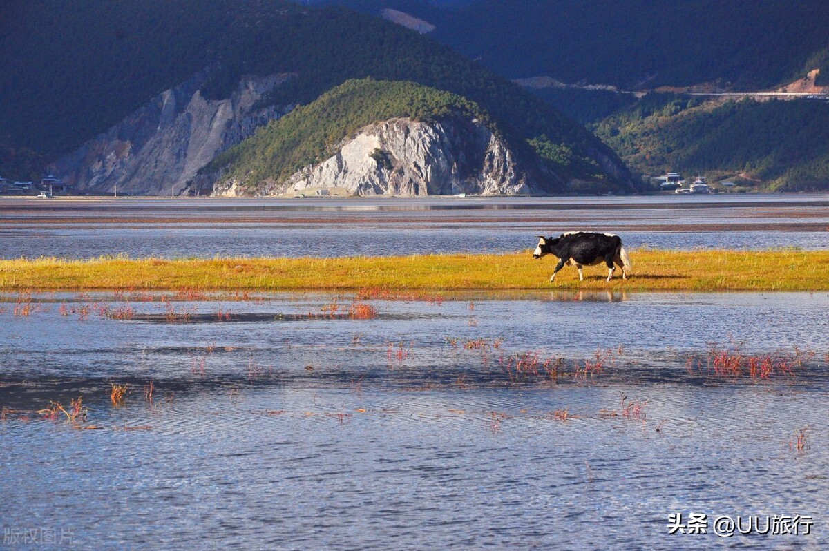 普达措国家公园攻略_香格里拉是什么意思_香格里拉旅游景点