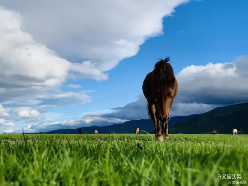 迪庆天堂之旅_香格里拉是什么意思_香格里拉心灵乌托邦
