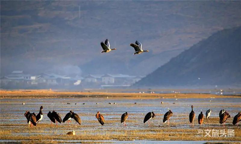 迪庆天堂之旅_香格里拉是什么意思_香格里拉心灵乌托邦