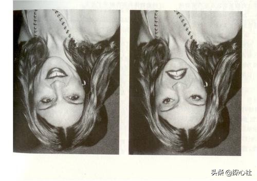 知觉的基本特征 生活应用_知觉理解性选择性整体性恒常性_心理学知觉特性