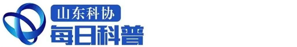 开·云体育app下载安装 【山东科协每日科普】人脸识别、图像搜索、自动驾驶……你了解AI图像识别是如何工作的吗？