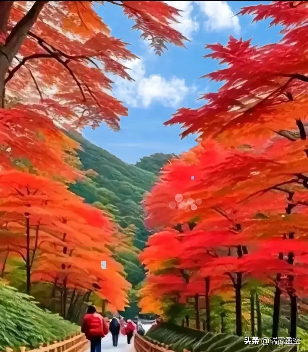 人脉如何助力事业发展_人脉圈大全集pdf_人脉对成功的重要性