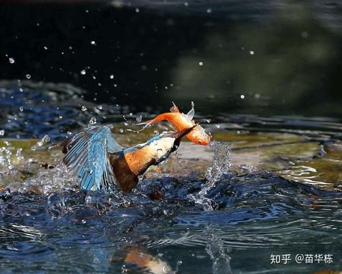 kiayun手机版登录打开即玩v1011.速装上线体验.中国 CNN（卷积神经网络）是什么？有何入门简介或文章吗？