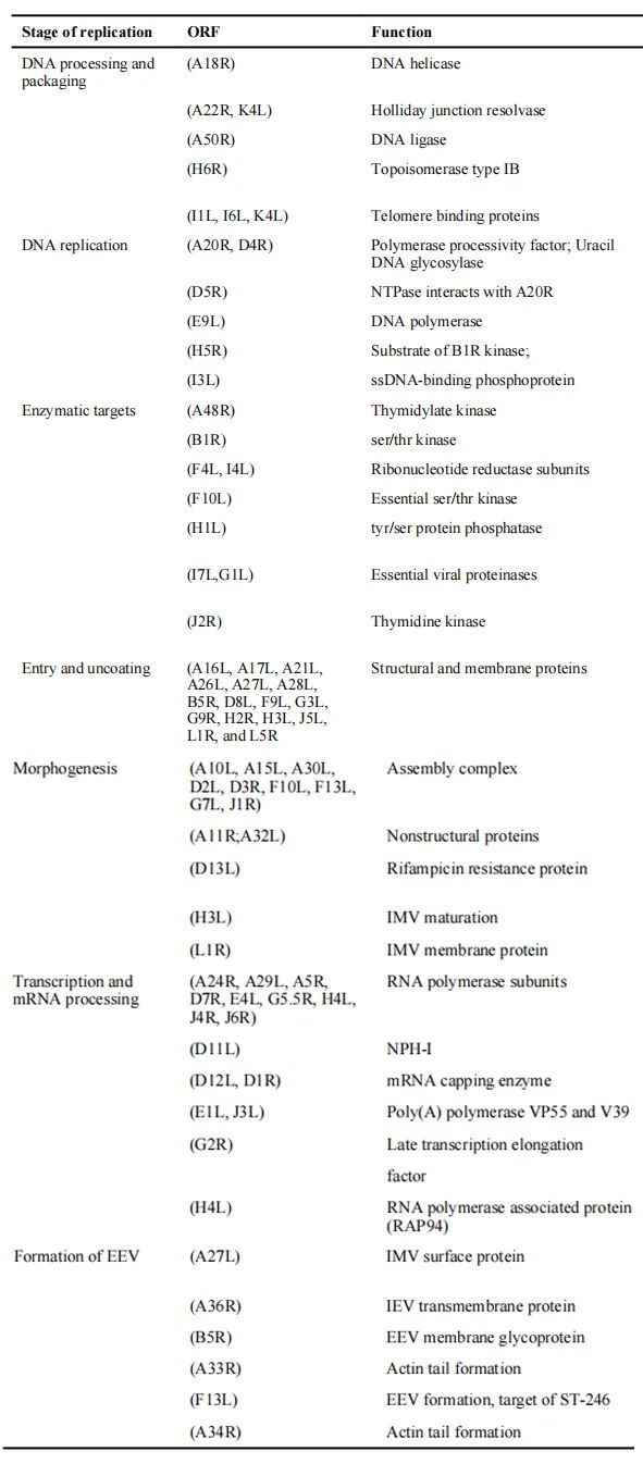 kia云手机版登录 新的天花？猴痘病毒潜在的药物靶点有哪些？