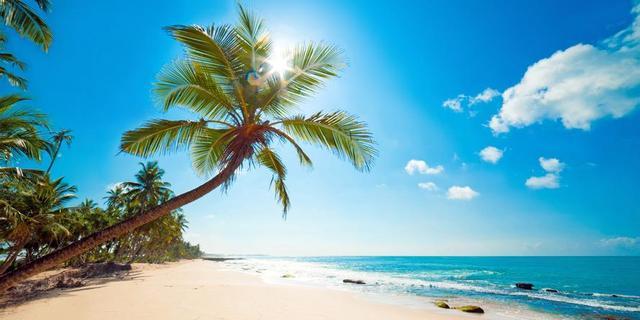 生活应用方面的知识_隐私保护_生活小常识