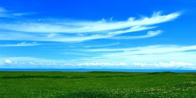 生活应用方面的知识_生活小常识_隐私保护