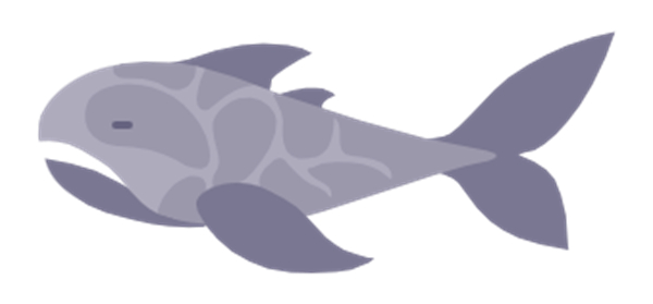 鱼类图鉴_小猫钓鱼汉化版游戏攻略_小猫钓鱼有船的版本下载