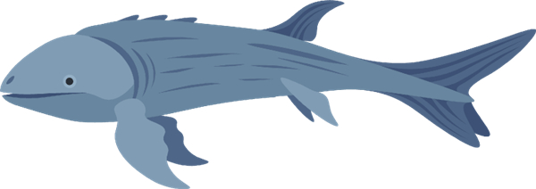 小猫钓鱼有船的版本下载_鱼类图鉴_小猫钓鱼汉化版游戏攻略