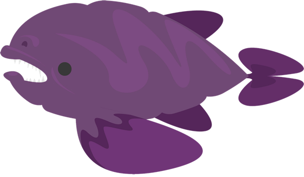 小猫钓鱼有船的版本下载_鱼类图鉴_小猫钓鱼汉化版游戏攻略